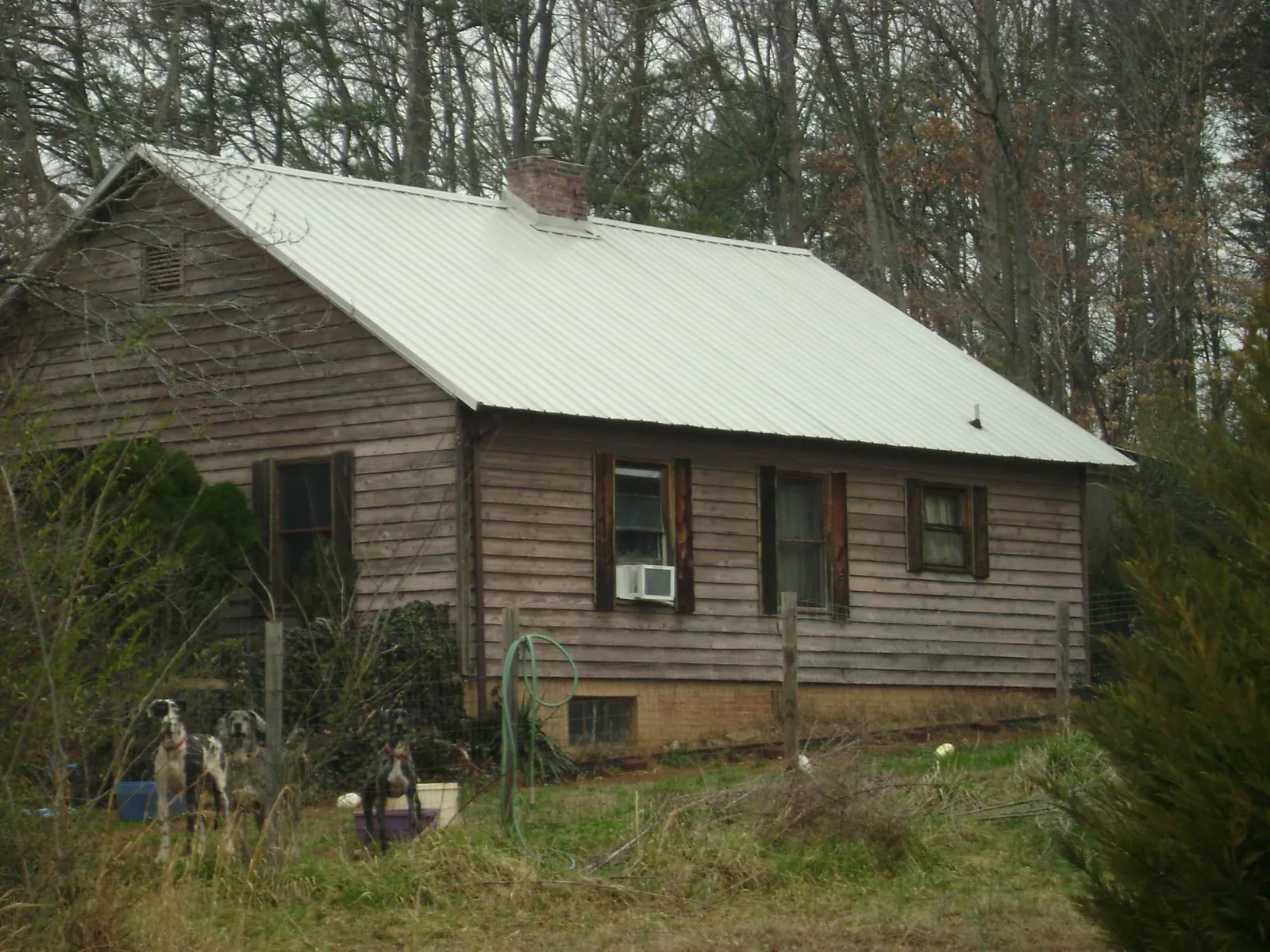 White metal roof on an old wood sided farmhouse, from a Asphalt Shingle Roof Repair job in Derry